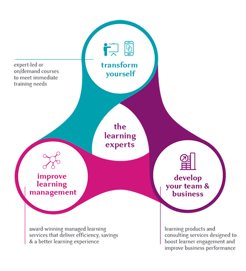 Learning -experts -diagram
