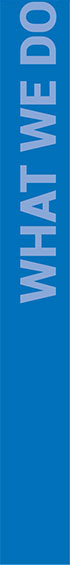 Whatwedo